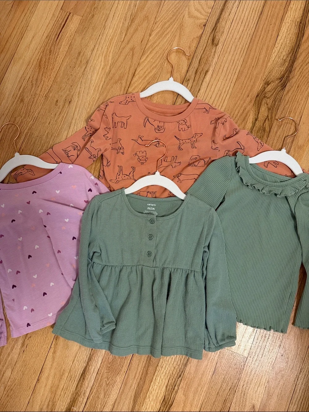 Carter's Girls Long Sleeve Tops - Rust, Sage Green, Light Purple